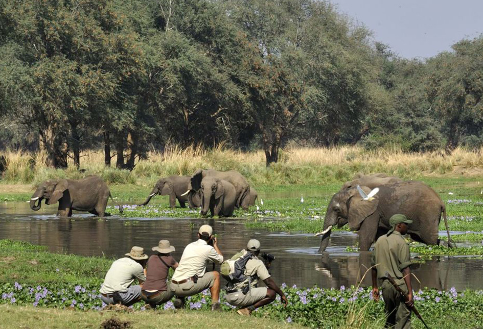 Tour-Guiding-in-Malawi-Global-Tours-International-Services